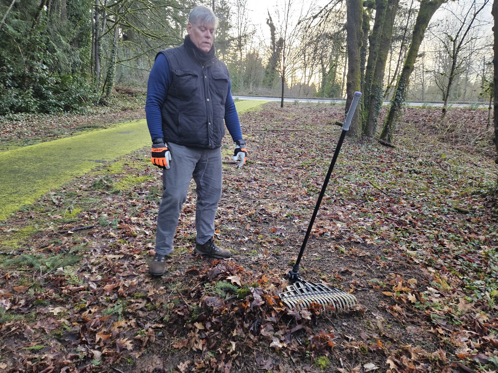 Self-standing rake